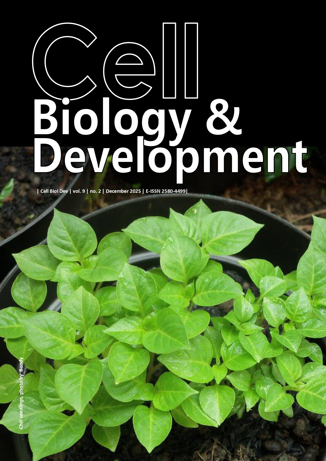 Cell Biology and Development